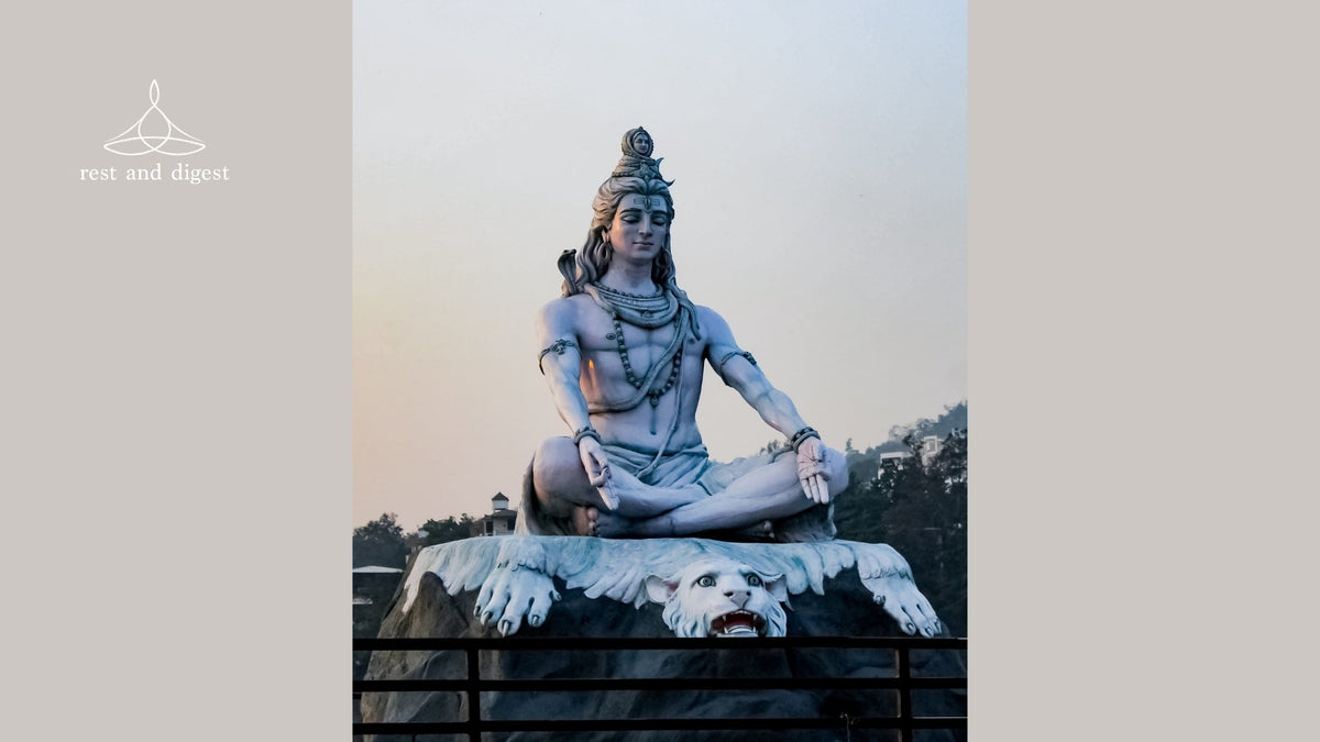 The History Of Yoga