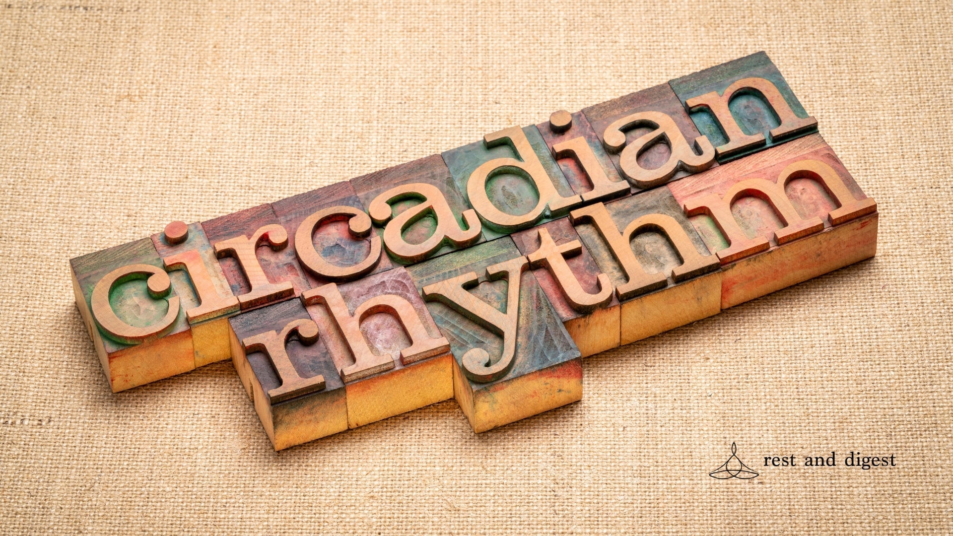 What Is Your Circadian Rhythm And How Does It Relate To Rest & Digest Mode?