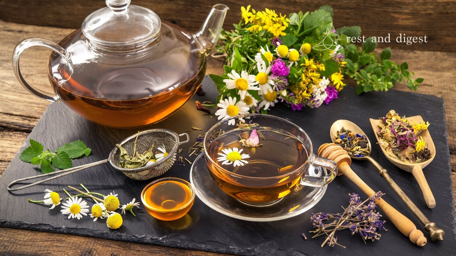 What Are The Best Herbal Tea Ingredients For Sleep?