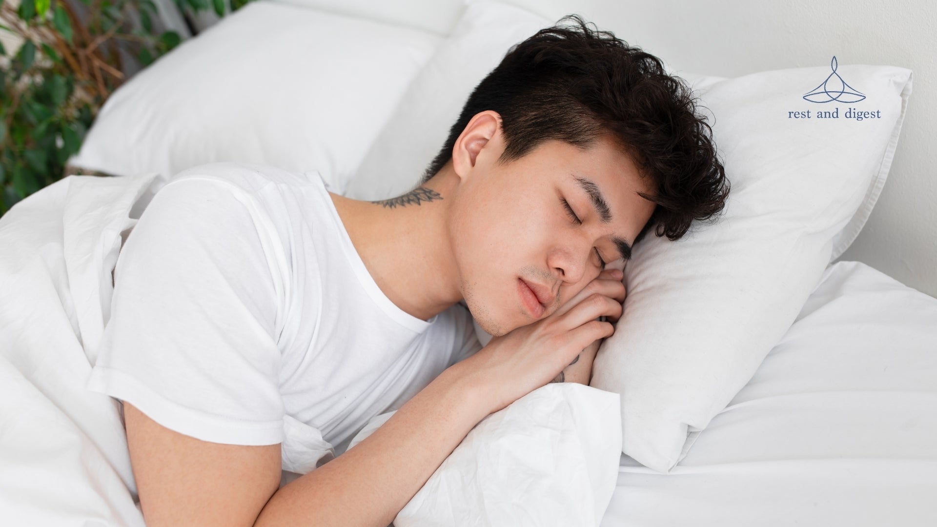 The Best Natural Products To Help You Sleep