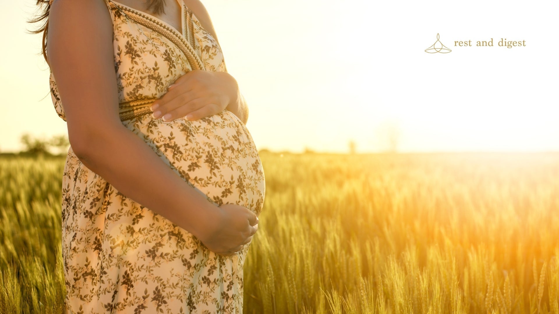 Pregnancy Journal - What Is It & How To Use One