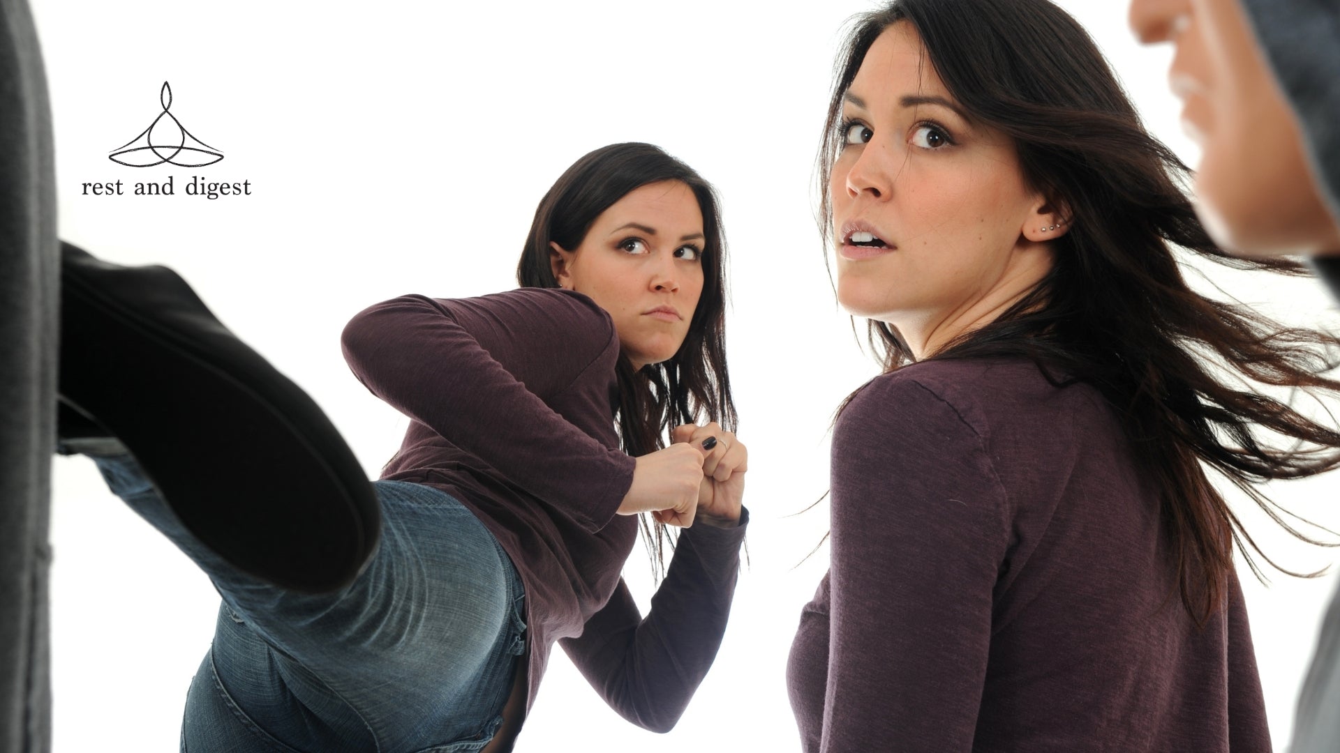 The Fight Or Flight Response - What Is It Exactly?