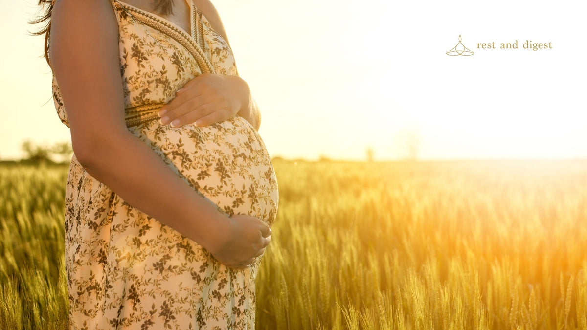 Pregnancy Journal - What Is It & How To Use One