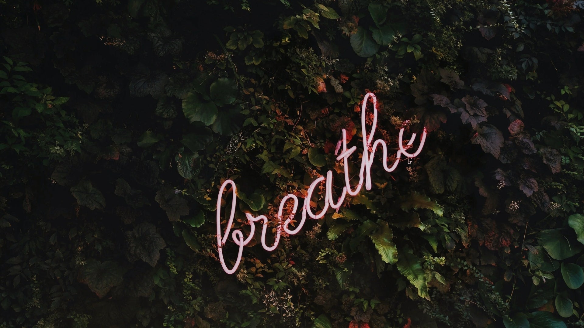 A Fast Way to Relax